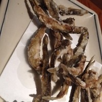 浅草 魚料理 遠州屋 - ドジョウ唐揚げ