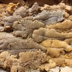 食彩厨房 甚兵衛 - 隠岐の島のうに