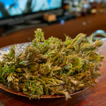 飛騨季節料理 肴 - 