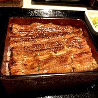 うなぎ 目白ぞろ芽 - 