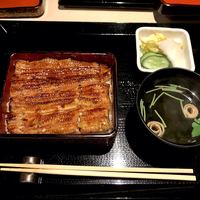 うなぎ 目白ぞろ芽 - 