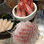 魚金 - ホタテ 甘エビ 白身