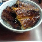 イチビキ - 上丼