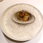 COOK JAPAN PROJECT - 