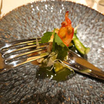 COOK JAPAN PROJECT - 