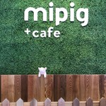 Mipig cafe - 待合スペースの壁♡ たまに本物のマイクロミニブタちゃんがお出迎えする場合も！？