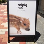 Mipig cafe - 何この上目遣いーーーーーー！（キュンキュン）