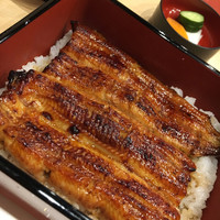 うなぎ割烹 白金台 まつ本 - うな重　特　