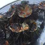 Ricciomania da Roberto - パンと白ワインがついてウニ1人前7€ 安いです