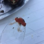 Ricciomania da Roberto - 安いですが小さいスプーンにこれだけしか取れません 安いわけだ（笑）