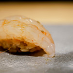 鮨 猪股 - 甘エビ