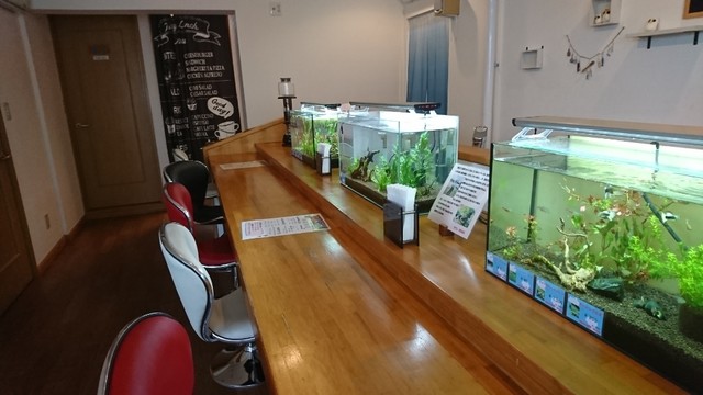 カフェ IROHA - 帯広（カフェ）の写真