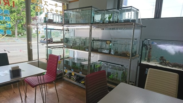 カフェ IROHA - 帯広（カフェ）の写真