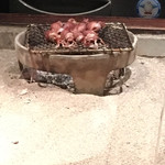 たでの葉 - 蛍烏賊