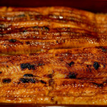 うなぎ屋 廣川 - 料理写真:うな重