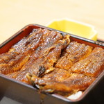 炭火焼うなぎ 東山物産 - 