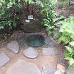 サンプリシテ - 明治神宮