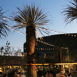 TOOTH TOOTH Beer Garden - 