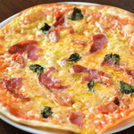 クッチーナ マツダ