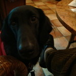 カフェ・ミケランジェロ - 