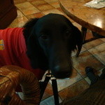 カフェ・ミケランジェロ - 