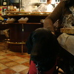 カフェ・ミケランジェロ - 