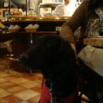 カフェ・ミケランジェロ - 