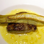 ドディチ・マッジョ - 