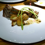 ドディチ・マッジョ - 