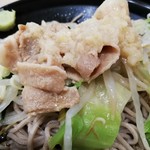 駅そば 清流そば - 豚肉とたっぷり野菜の冷やしそば￥520　zoom!