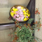 三燈舎 - 水盤にはなびら