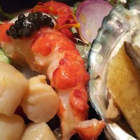 ダルマット 六本木ヒルズ店 - 