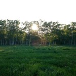 ツキサップじんぎすかんクラブ - 