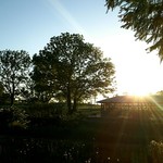 ツキサップじんぎすかんクラブ - 