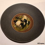 カーサ・デル・チーボ - 鮑と鮑の肝を練り込んだﾌｪｯﾄﾁｰﾈ