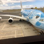 Torn Basil Pizza - ホヌいた