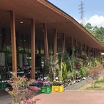 軽井沢発地市庭 - お花がたくさん