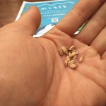 サントリー 天然水のビール工場 東京・武蔵野ブルワリー - 