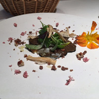 Terres de Truffes, Tokyo - 