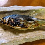 そばっ喰ひ - 子持ち鮎