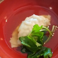 飛騨季節料理 肴 - 山菜の水餃子