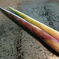飛騨季節料理 肴 - ネマガリダケ2種