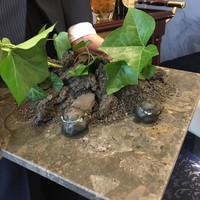 クイントカント - 