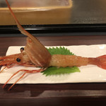 Sushihoshino - 