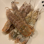 おぎ野 - 茹でシャコ