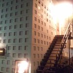 マルヤマドリル - 