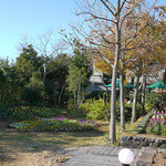 道の駅とみうら 枇杷倶楽部 - 2011年冬