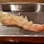 てんぷら 深町 - 車海老：1尾目