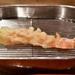 てんぷら 深町 - 車海老：2尾目