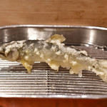 てんぷら 深町 - 稚鮎